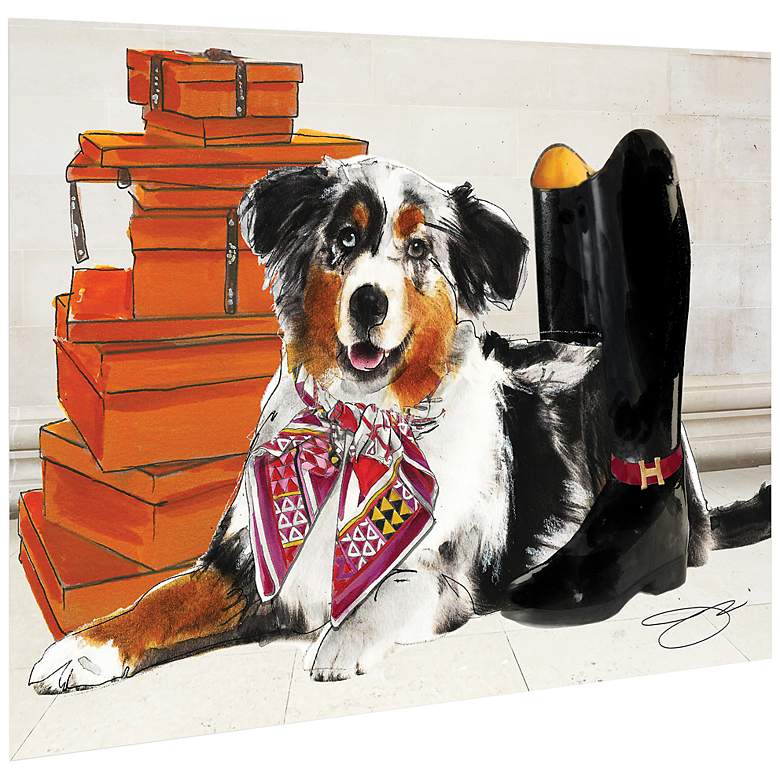 Border Collie 27 1/4" Wide Tempered Glass Graphic Wall Art