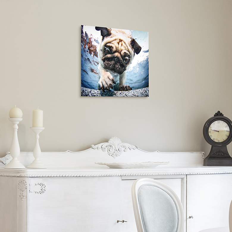 Pug 23 1/4"W Free Floating Tempered Glass Graphic Wall Art