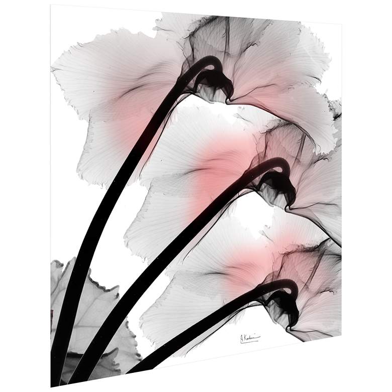 Coral Luster Clycamen 2 24" Square Glass Graphic Wall Art