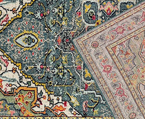 Persian Distressed Multi-color Area Rugs