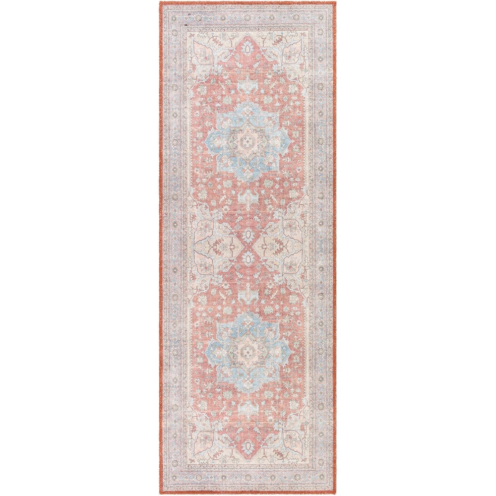 Distressed Traditional Machine Washable Area Soft Rug