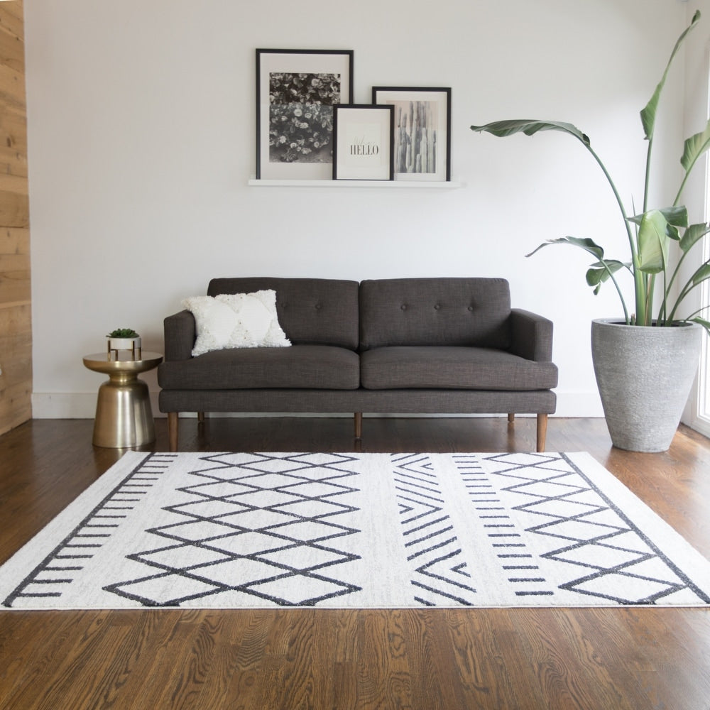 Carrington Salsaker Geometric Indoor Soft Area Rug