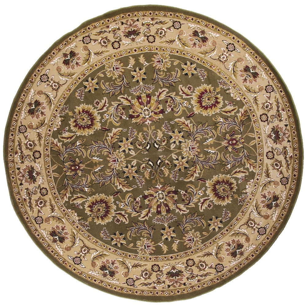Domani Legacy Classic Oriental Area Rug