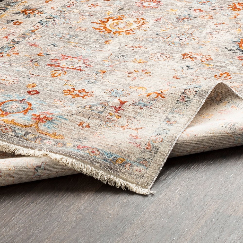 Vintage Persian Traditional Beige Multi Soft Area Rug