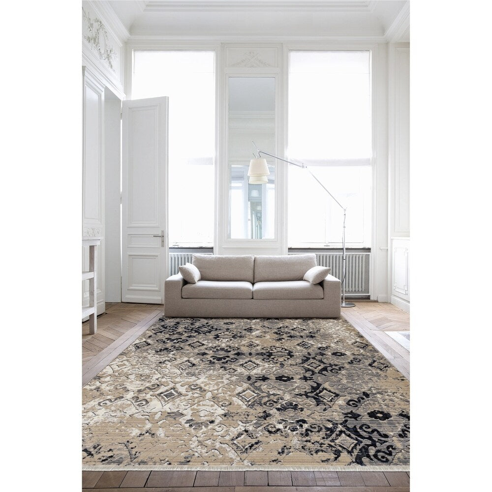 Renza Distressed Ivory Blue/ Sand Emblum Soft Area Rug