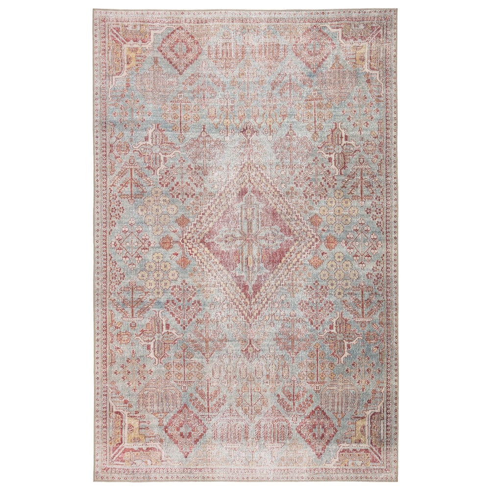 Cugoano Indoor/Outdoor Sky Blue/Pink Medallion Area Rug
