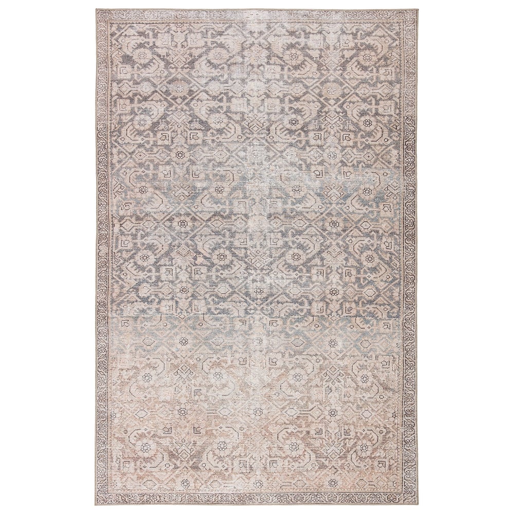 Dabydeen Indoor/Outdoor Trellis Peach and Blue Soft Area Rug