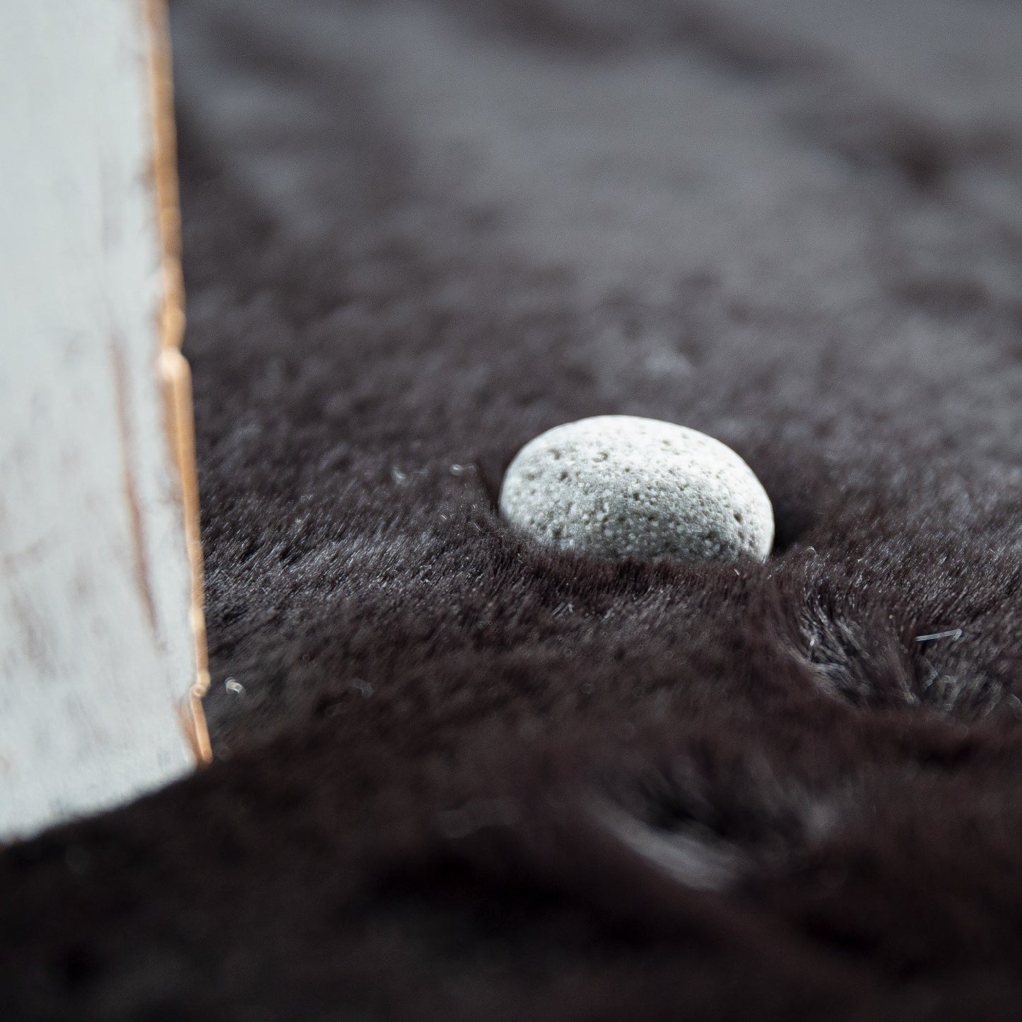 Solid High Pile Area Rug Cosy Luxurious Touch Super Soft Area Rug