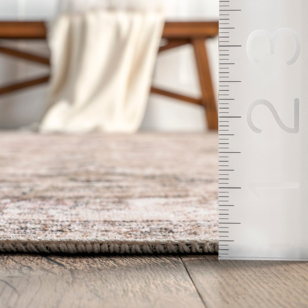 Paisley Machine Washable Faded Floral Border Medallion Area Rug