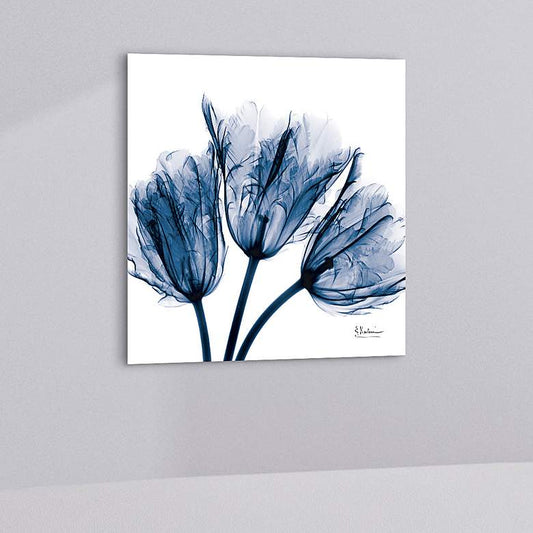 Blue Tulip X-Ray 24" Square Printed Glass Graphic Wall Art