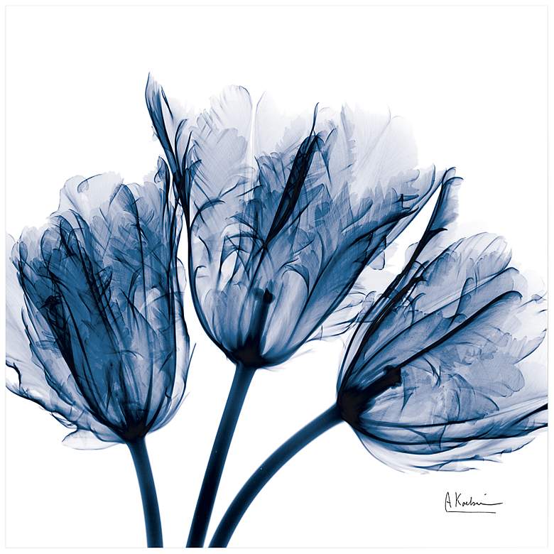 Blue Tulip X-Ray 24" Square Printed Glass Graphic Wall Art