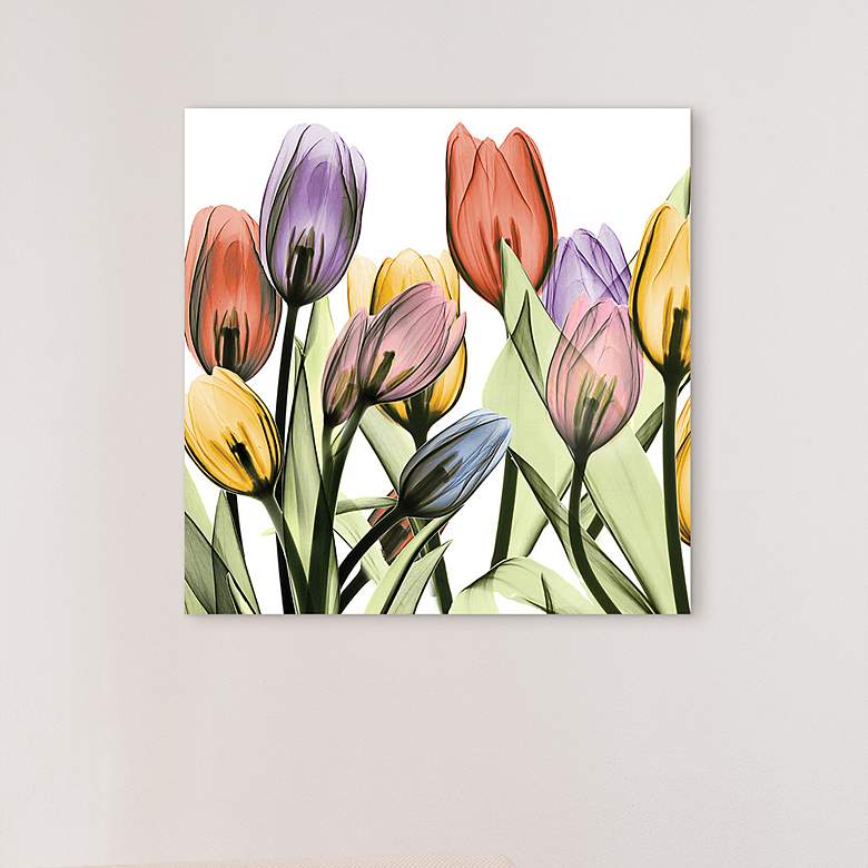 Tulip Scape x-ray I 24" Square Printed Glass Wall Art