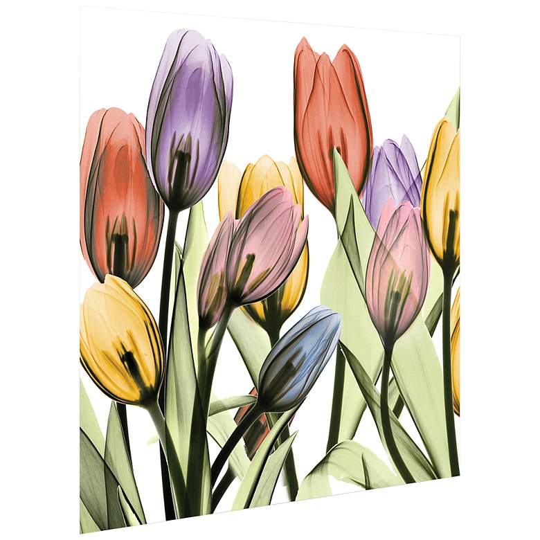 Tulip Scape x-ray I 24" Square Printed Glass Wall Art