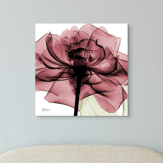 Chianti Rose II 24" Square Printed Tempered Glass Wall Art