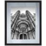Notre Dame 22" High Framed Giclee Wall Art