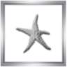 Silver Leafed Starfish 16" Square Framed Wall Art