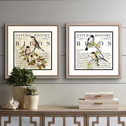 Botanical Birds 18" Square 2-Piece Framed Wall Art Set