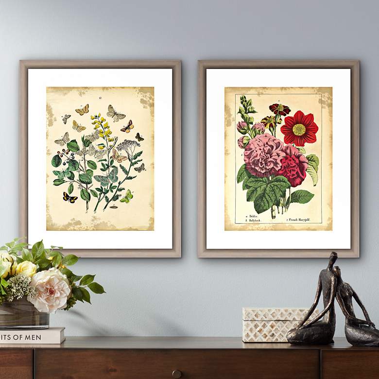 Vintage Botanicals 22"H 2-Piece Framed Giclee Wall Art Set