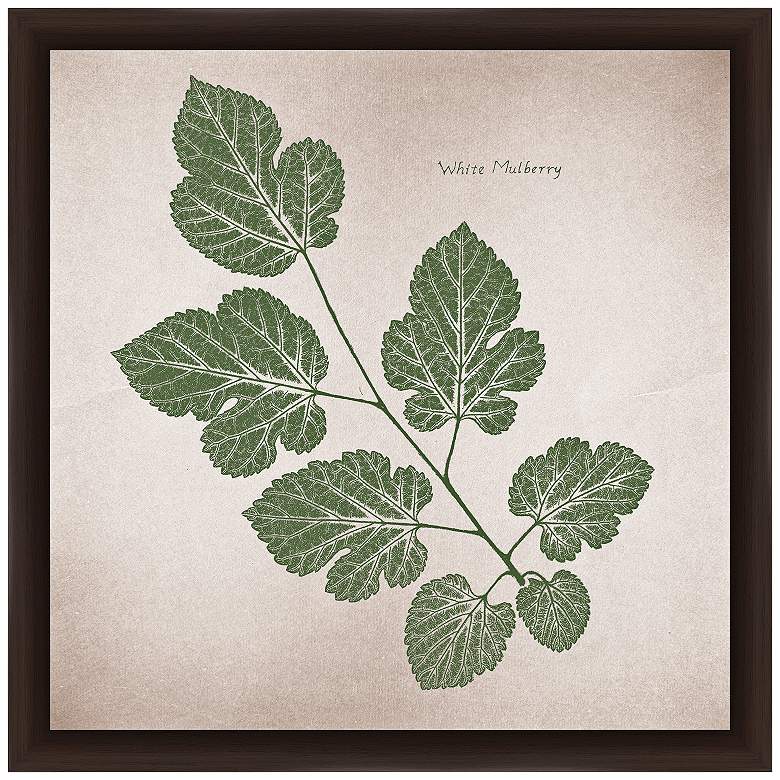 White Mulberry 14" Square Framed Giclee Wall Art