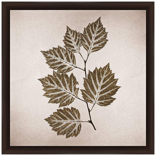 Vintage Leaves 14" Square Framed Giclee Wall Art