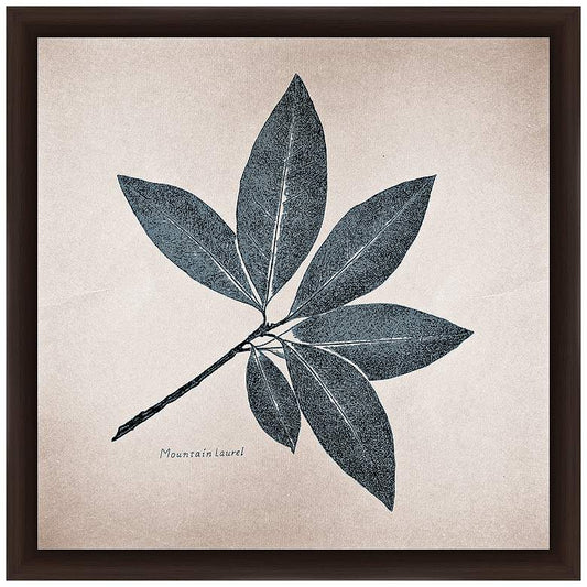 Mountain Laurel 14" Square Framed Giclee Wall Art