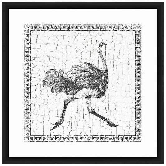 Ostrich 22" Square Framed Giclee Wall Art