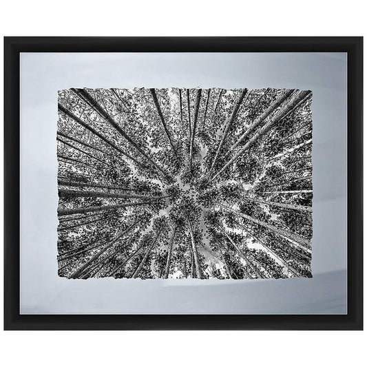 Looking To The Trees 22" Wide Framed Giclee Wall Art