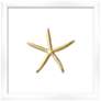 Gold Leafed Thin Starfish 16" Square Framed Wall Art