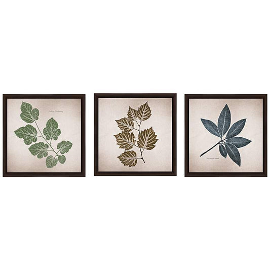 Leave 14" Square 3-Piece Framed Giclee Wall Art Set