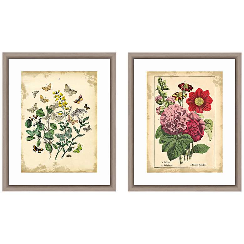 Vintage Botanicals 22"H 2-Piece Framed Giclee Wall Art Set