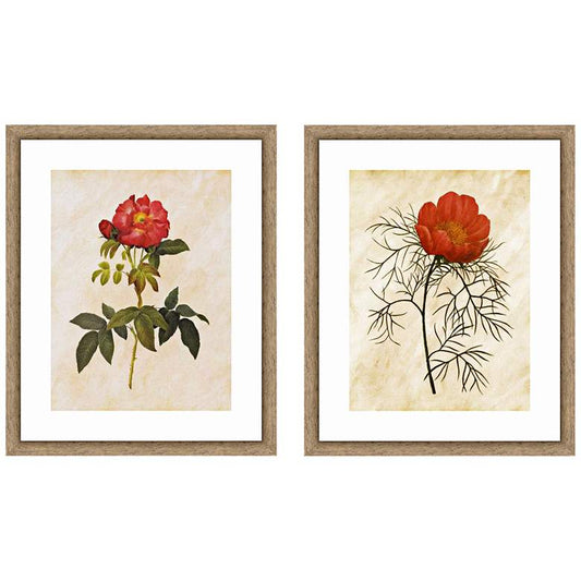 Vintage Roses 22" High 2-Piece Framed Giclee Wall Art Set