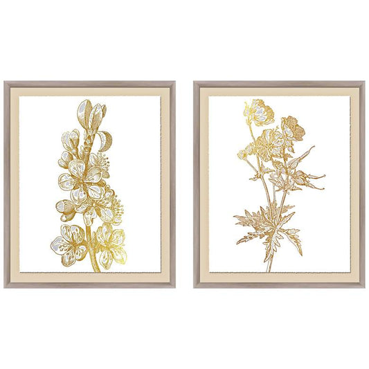 Botanical 23 1/2" High 2-Piece Framed Giclee Wall Art Set