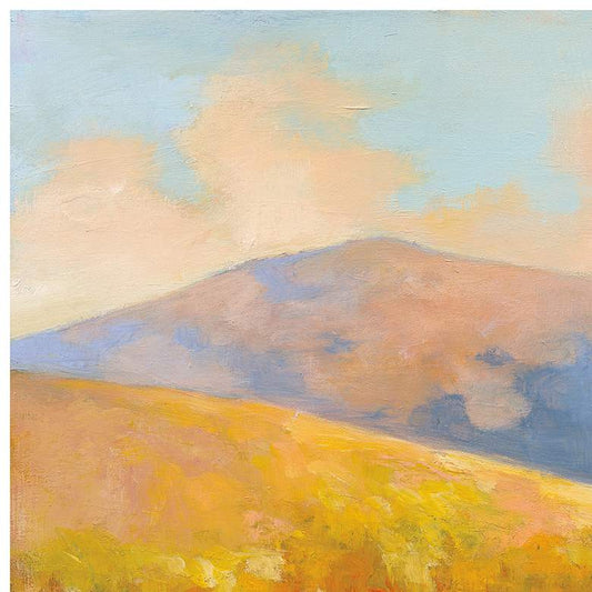 High Country Dawn 24" Square Outdoor Canvas Wall Art