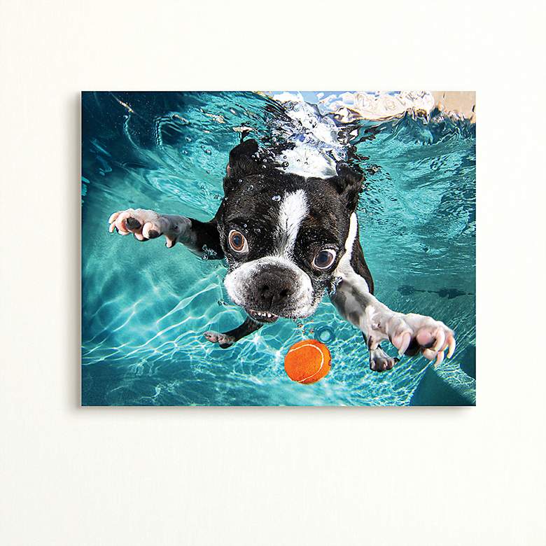 Boston Terrier 23 1/4"W Free Floating Glass Graphic Wall Art