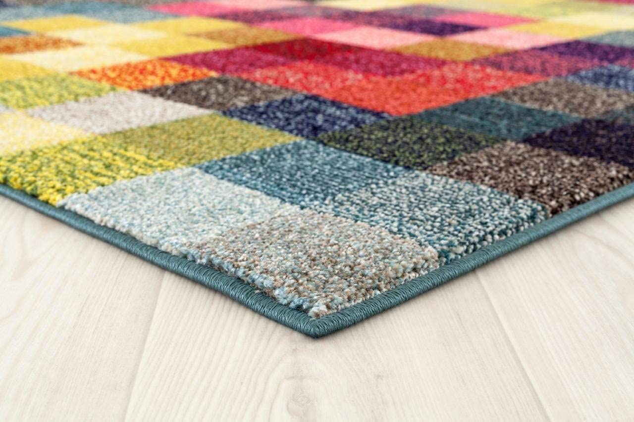 Checkered Multi Colored Area Rug