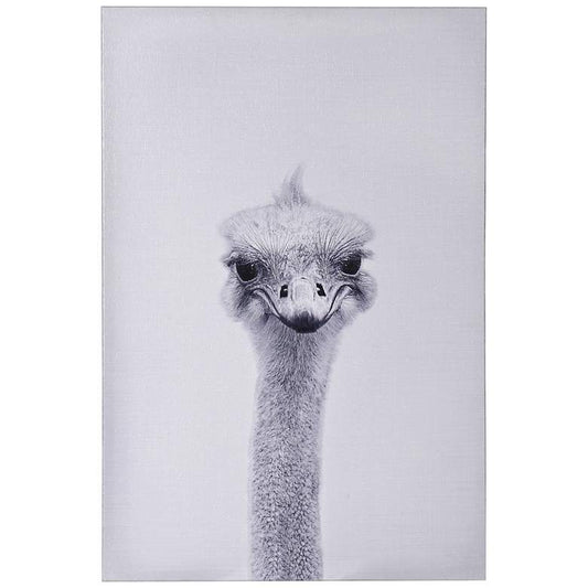 Animal Portraits 36" High Ostrich Canvas Wall Art