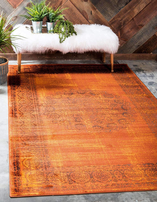 Modern Traditional Vintage Distressed Terracotta Soft Area Rug