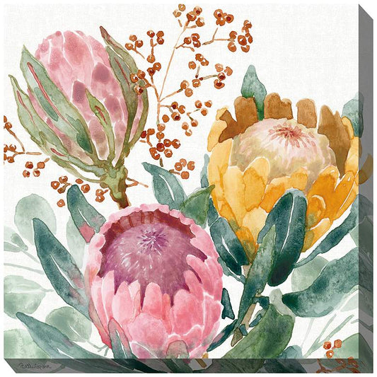 Protea Passion 24" Square Outdoor Canvas Wall Art