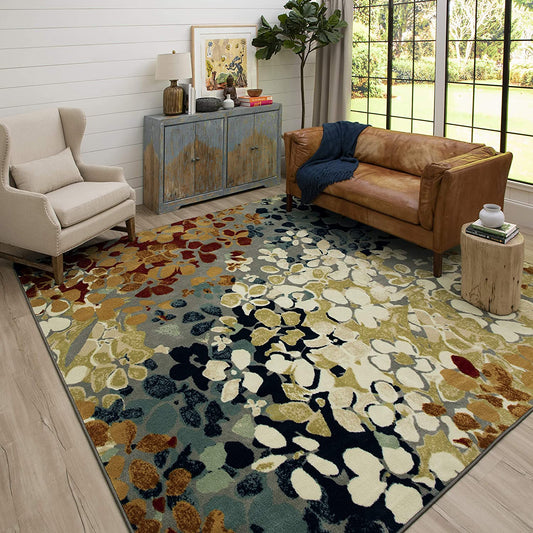 Home Radiance Multi Soft Area Rug