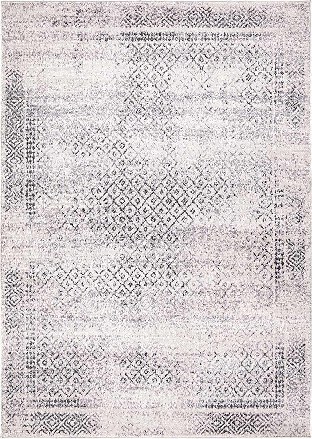 Bohemian Oriental Area Rug