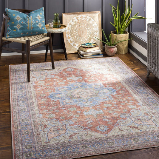 Distressed Traditional Machine Washable Area Soft Rug