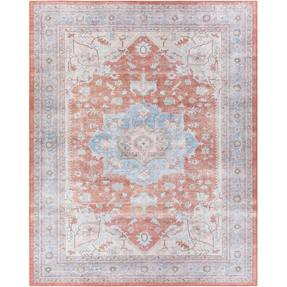 Distressed Traditional Machine Washable Area Soft Rug