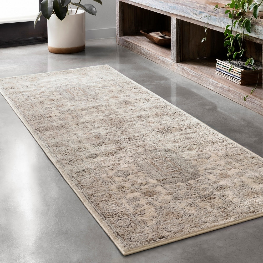 Alexander Home Joanna Farmhouse Hand Woven Area Rug 2' x 5' 3' x 5