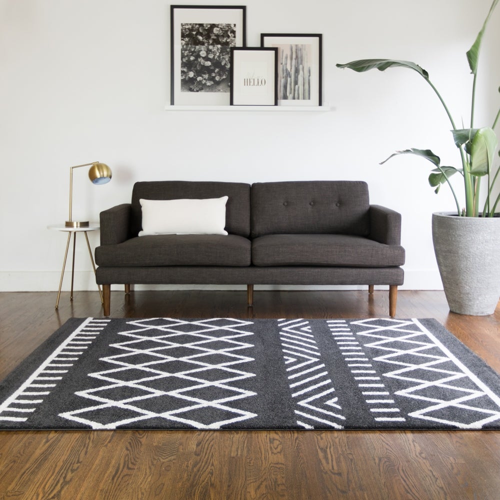 Carrington Salsaker Geometric Indoor Soft Area  Rug