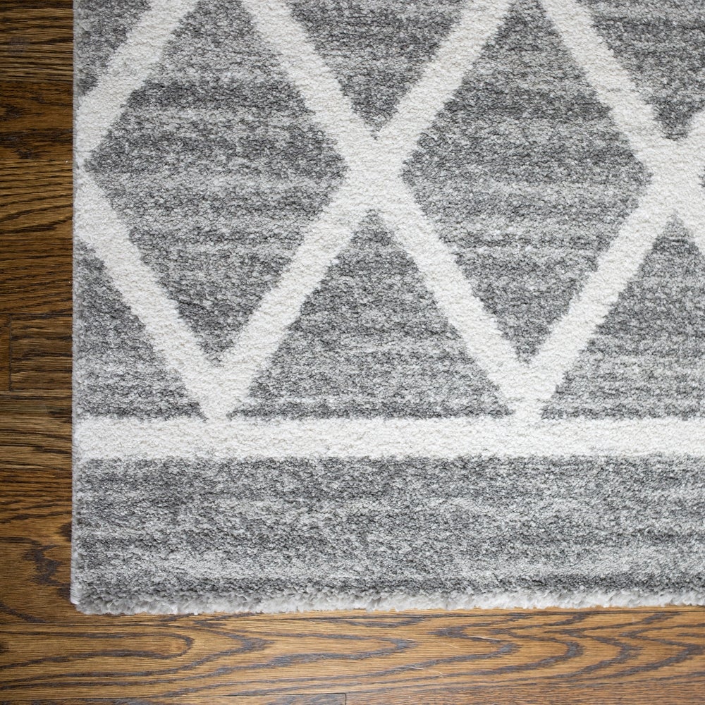 Carrington Salsaker Geometric Indoor Soft Area  Rug