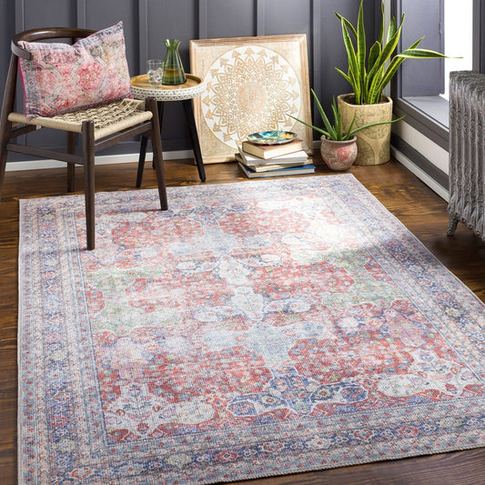 Distressed Traditional Machine Washable Area Soft Rug