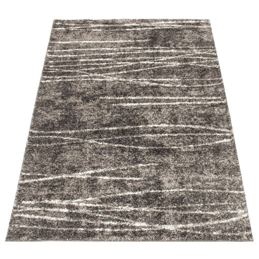 Modern Contemporary Dark Grey Area Rug Shag