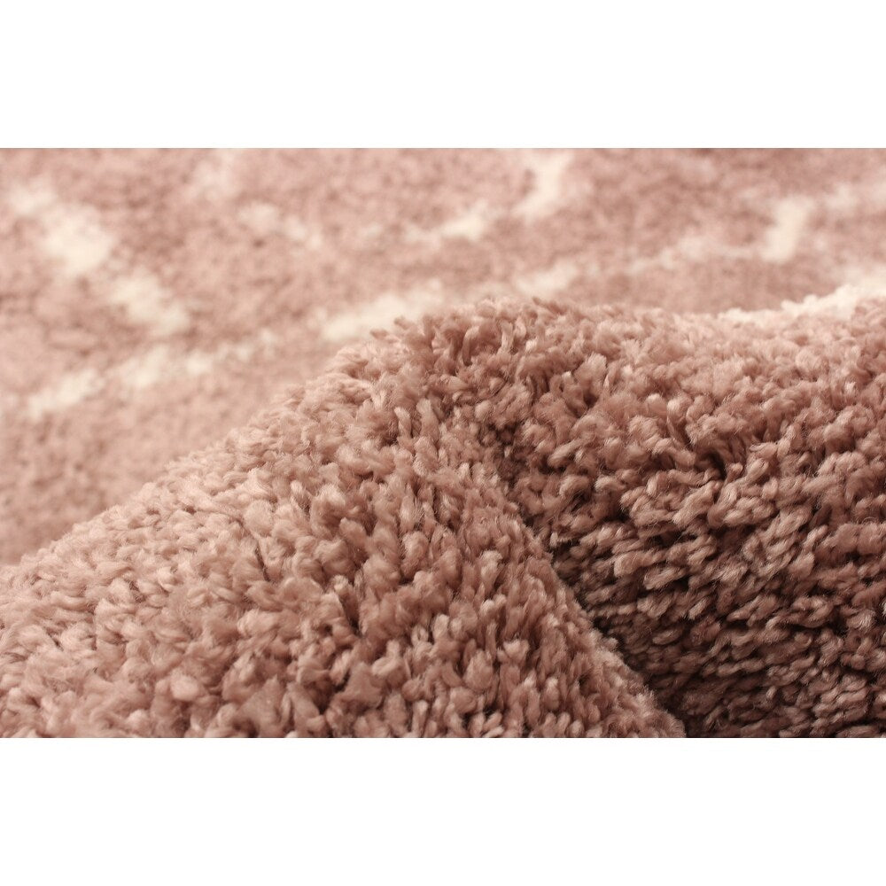 Modern & Contemporary Pink Area Rug Shag