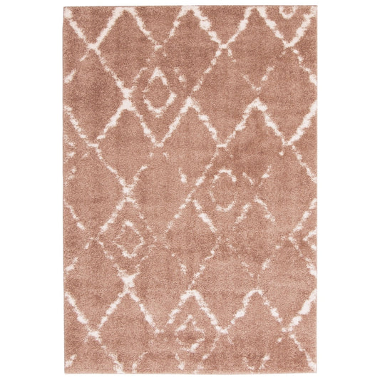 Modern & Contemporary Pink Area Rug Shag