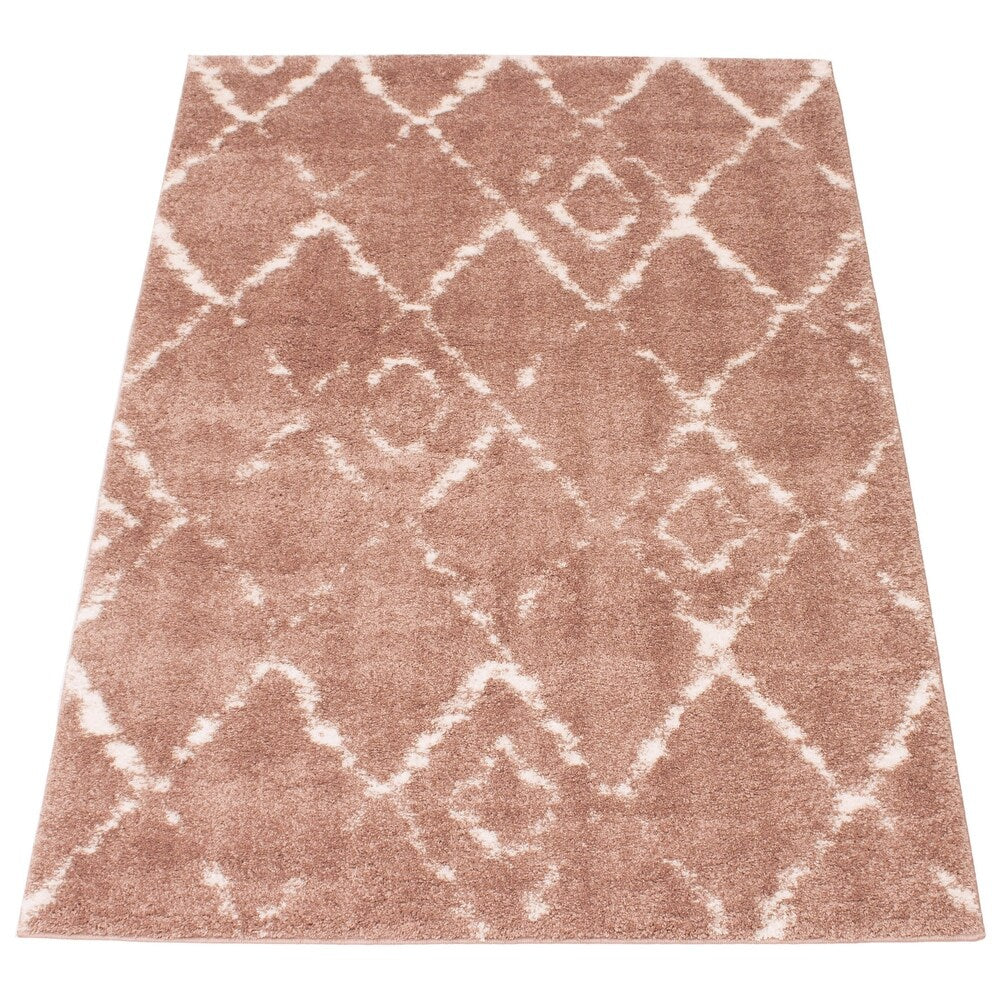 Modern & Contemporary Pink Area Rug Shag